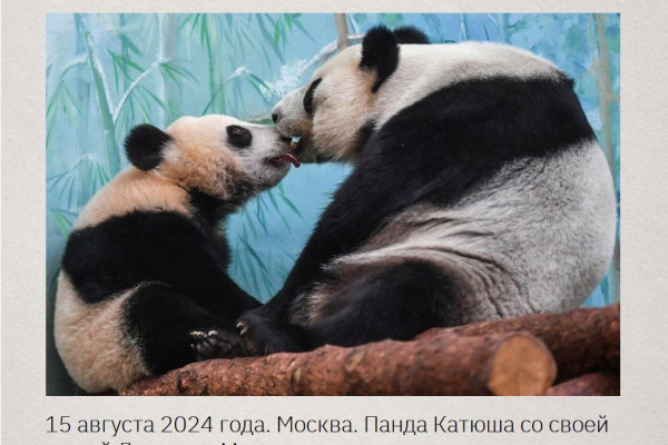 Открытие фотовыставки, посвященной 75-летию установления дипломатических отношений между Китаем и Россией.